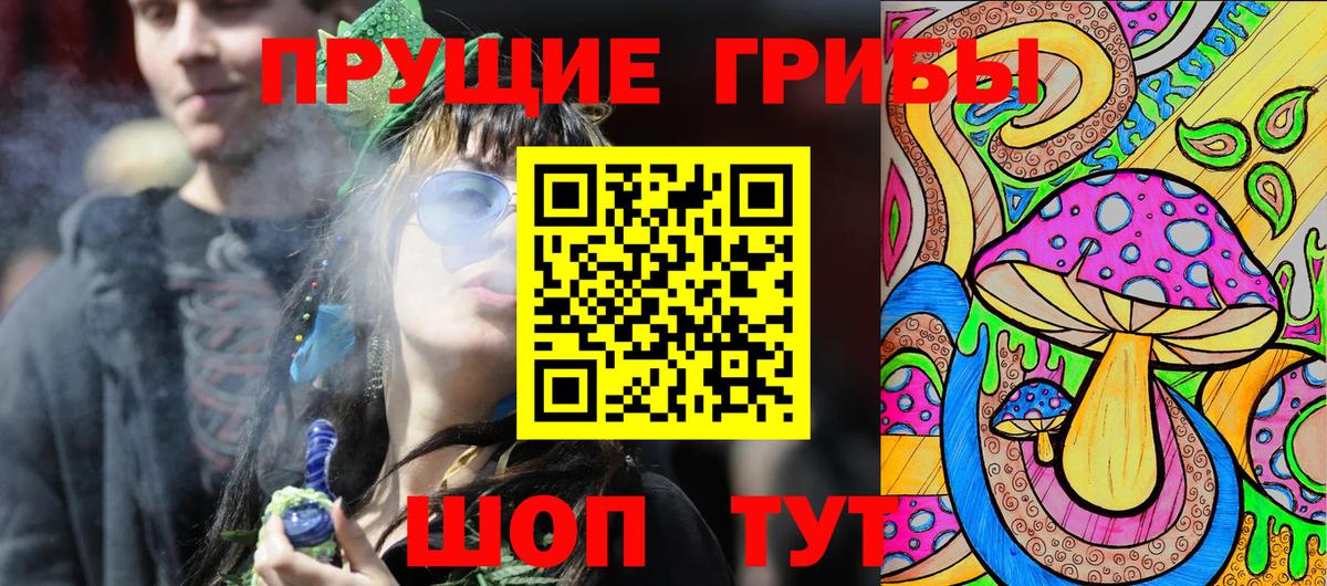 Псилоцибиновые грибы Psilocybine cubensis  Вход с VPN  Кунгур 