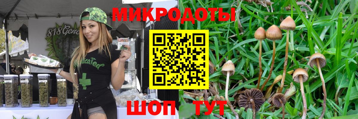 Псилоцибиновые грибы Cubensis Кунгур