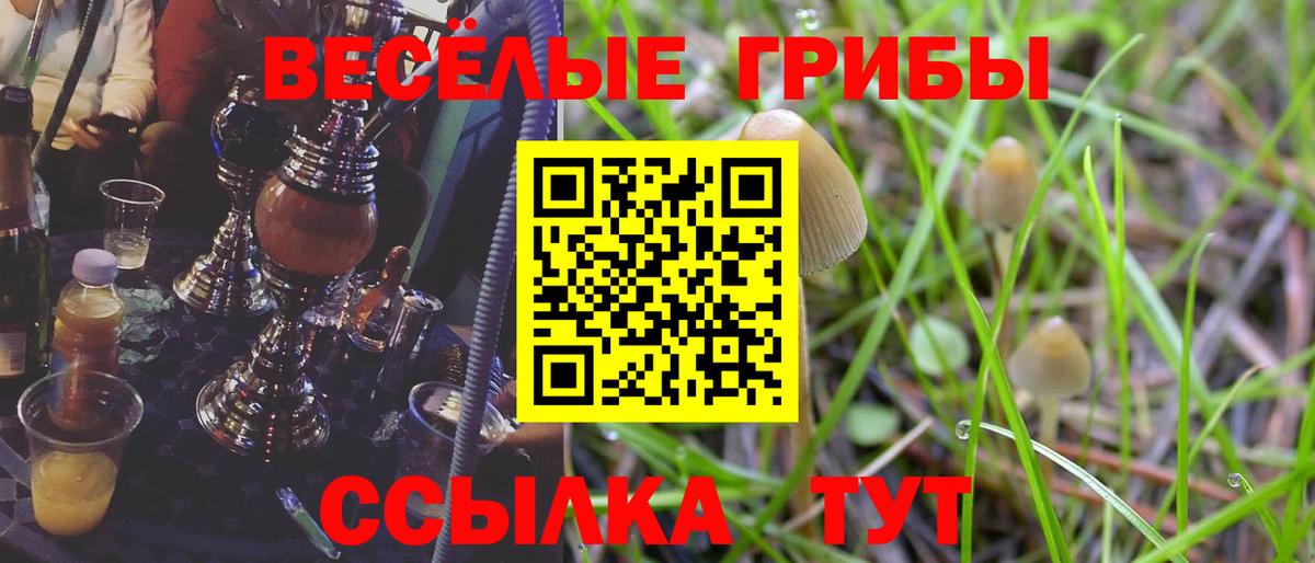 A-PVP Кунгур